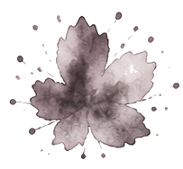 Squall